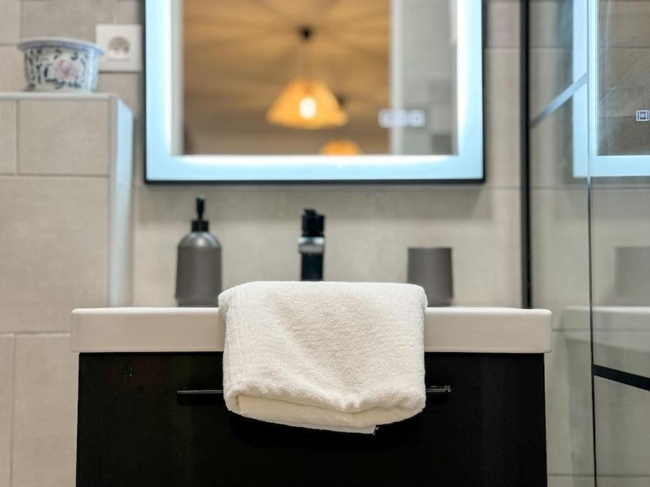 Elegance Au Coeur De Tarbes Daire Dış mekan fotoğraf
